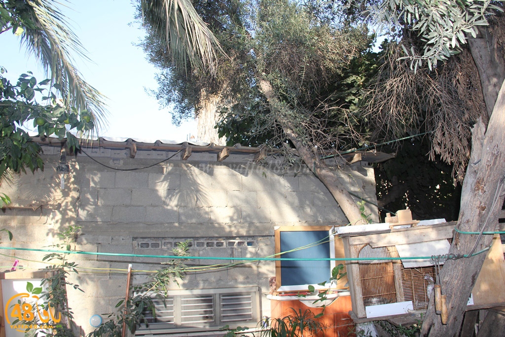 kaboob 3al2 mswarwa (19).JPG